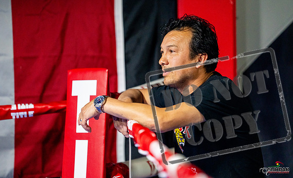 Cougar boxing June 7th 2025-0286