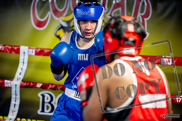 Cougar boxing June 7th 2025-0335