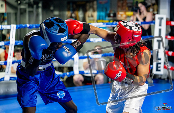 Cougar boxing June 7th 2025-0439