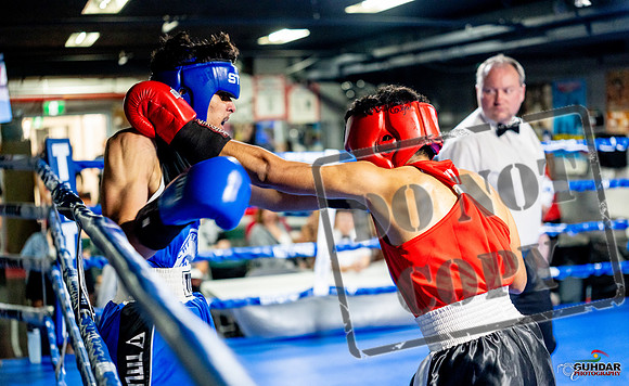 Cougar boxing June 7th 2025-0612