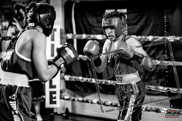Cougar boxing June 7th 2025-0596