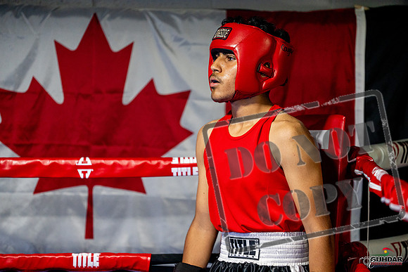 Cougar boxing June 7th 2025-0581
