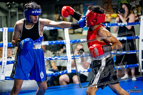 Cougar boxing June 7th 2025-0598