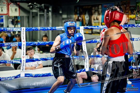 Cougar boxing June 7th 2025-0217