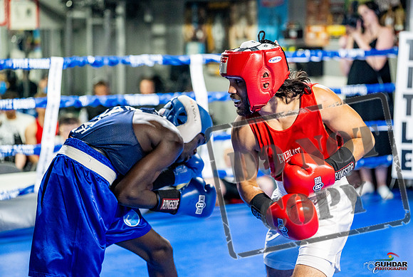 Cougar boxing June 7th 2025-0440