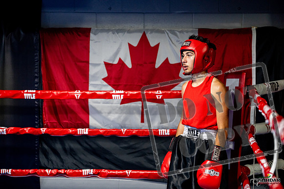 Cougar boxing June 7th 2025-0215
