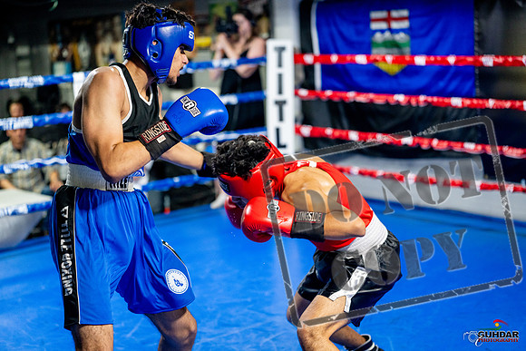 Cougar boxing June 7th 2025-0605