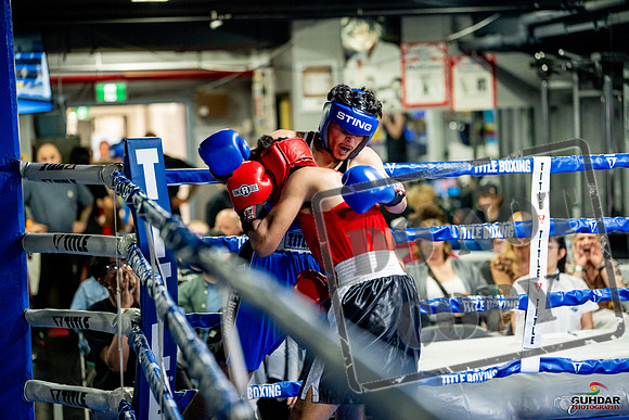 Cougar boxing June 7th 2025-0593