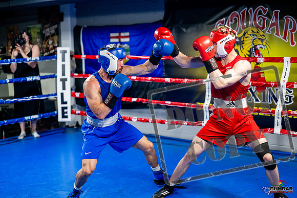 Cougar boxing June 7th 2025-0389