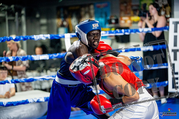 Cougar boxing June 7th 2025-0435