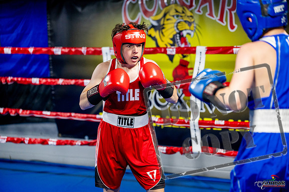 Cougar boxing June 7th 2025-0538