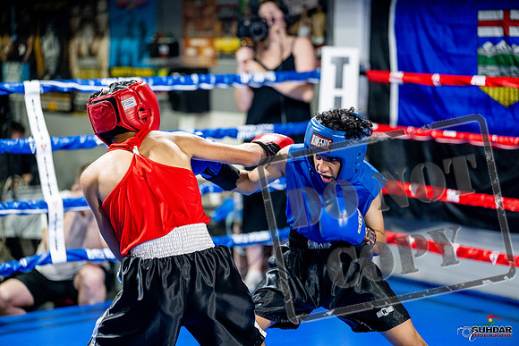 Cougar boxing June 7th 2025-0192