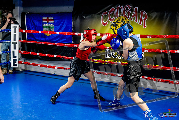 Cougar Boxing Basement Brawl -0554