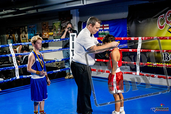 Cougar Boxing Basement Brawl -0103