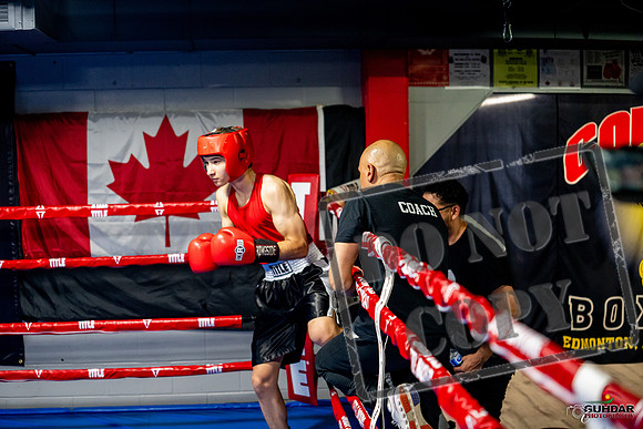 Cougar boxing June 7th 2025-0786