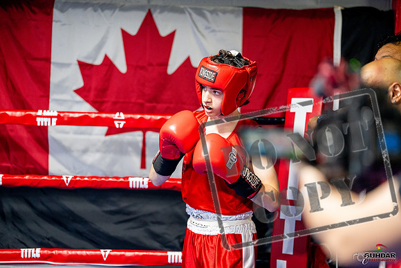 Cougar boxing June 7th 2025-0937