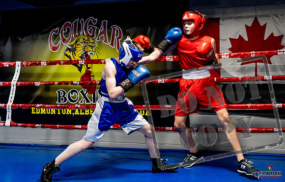 Cougar Boxing Basement Brawl -0205