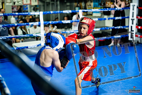 Cougar boxing June 7th 2025-0057