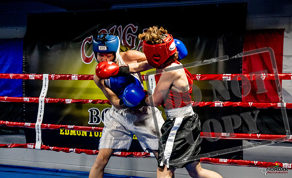Cougar Boxing Basement Brawl -0162