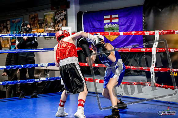 Cougar Boxing Basement Brawl -0020