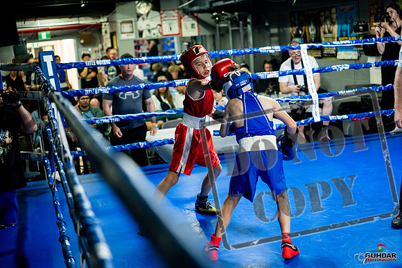 Cougar boxing June 7th 2025-0060