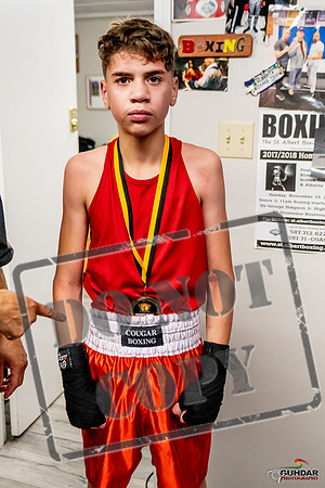 Cougar Boxing Basement Brawl -0276