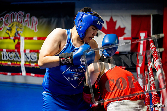 Cougar boxing June 7th 2025-0720