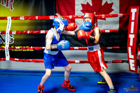 Cougar boxing June 7th 2025-0013
