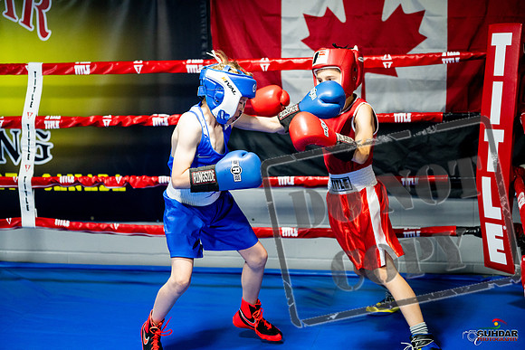 Cougar boxing June 7th 2025-0013