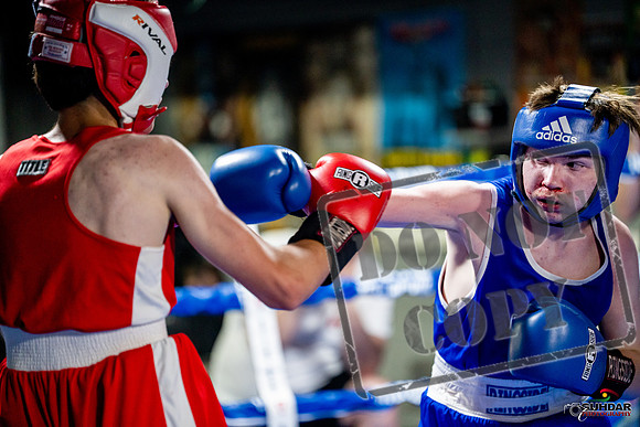 Cougar boxing June 7th 2025-0927