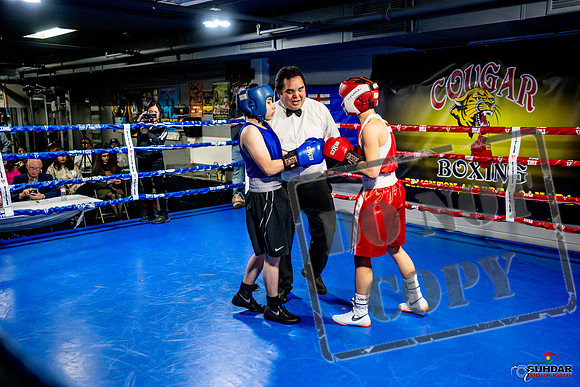 Cougar Boxing Basement Brawl -0476