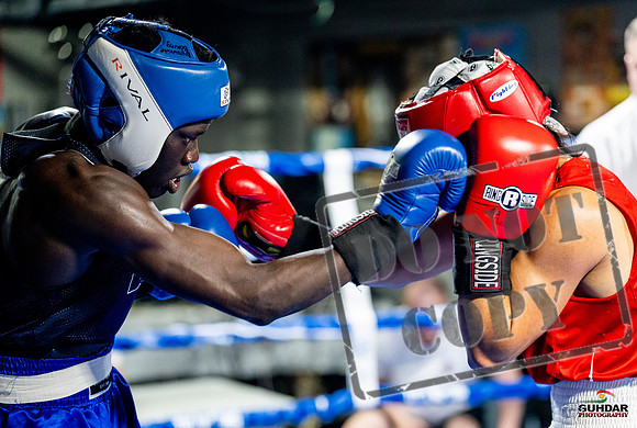 Cougar boxing June 7th 2025-0470