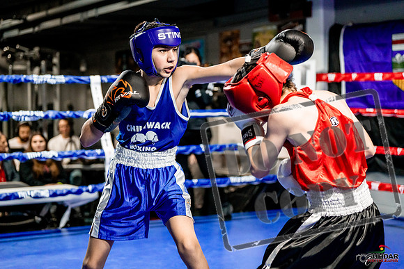 Cougar Boxing Basement Brawl -0021