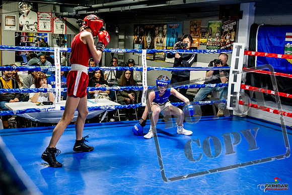 Cougar Boxing Basement Brawl -0582