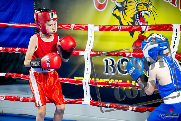 Cougar boxing June 7th 2025-0014
