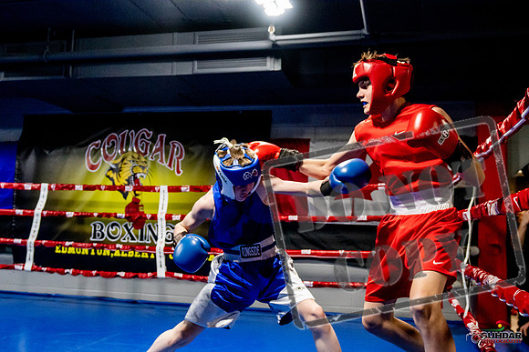 Cougar Boxing Basement Brawl -0189