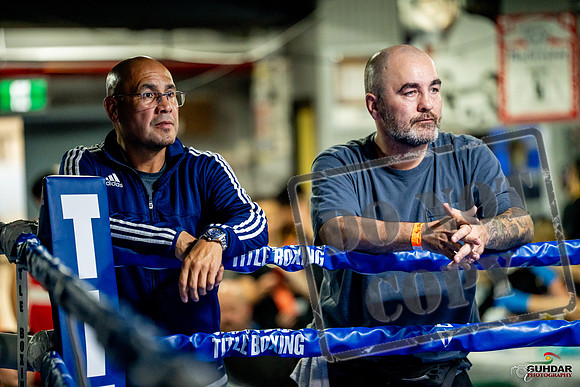 Cougar boxing June 7th 2025-0780
