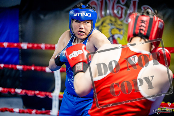 Cougar boxing June 7th 2025-0712