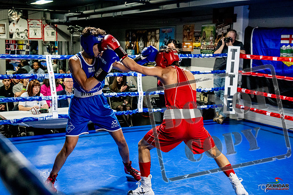 Cougar Boxing Basement Brawl -0467