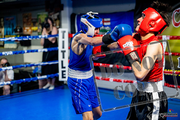Cougar boxing June 7th 2025-0689