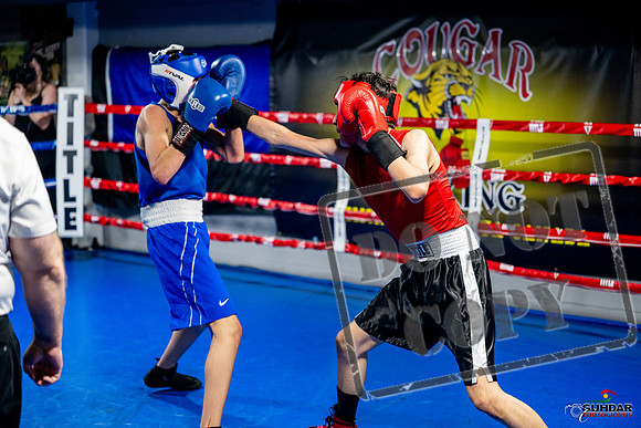 Cougar boxing June 7th 2025-0676