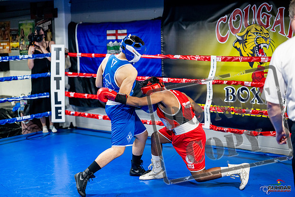 Cougar boxing June 7th 2025-0305