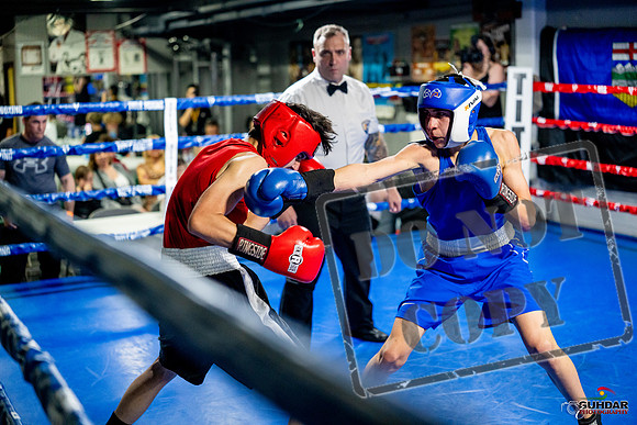 Cougar boxing June 7th 2025-0678