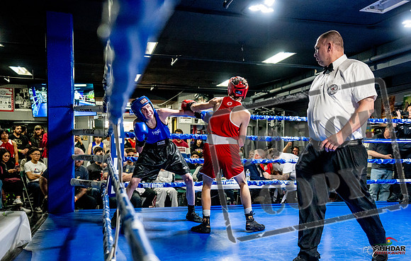 Cougar Boxing Basement Brawl -0122