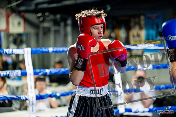 Cougar boxing June 7th 2025-0842