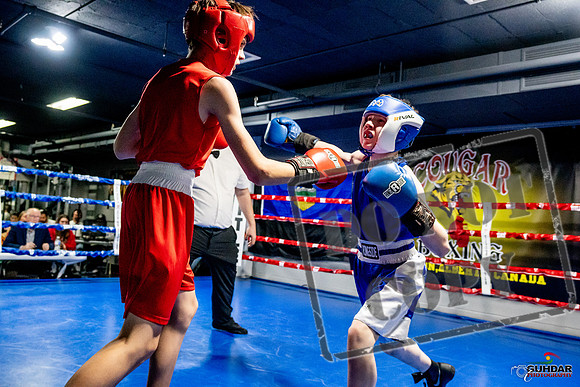 Cougar Boxing Basement Brawl -0195