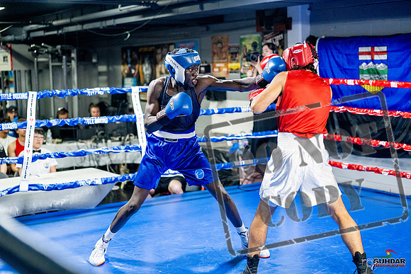 Cougar boxing June 7th 2025-0424