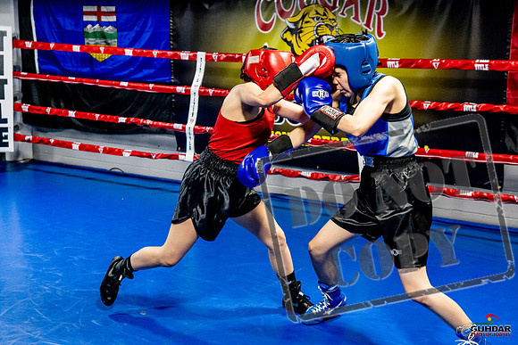 Cougar Boxing Basement Brawl -0562