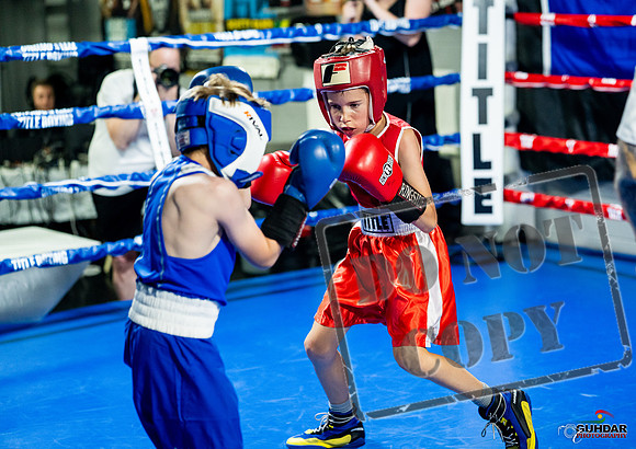 Cougar boxing June 7th 2025-0055