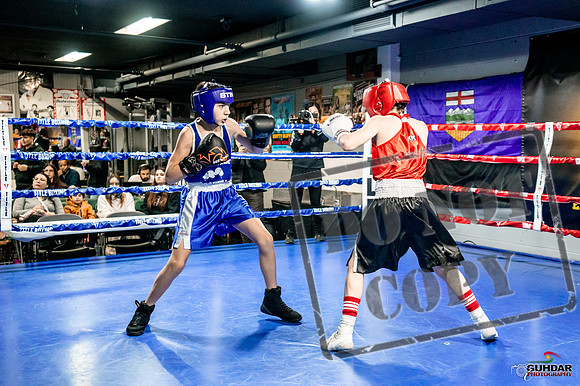 Cougar Boxing Basement Brawl -0005